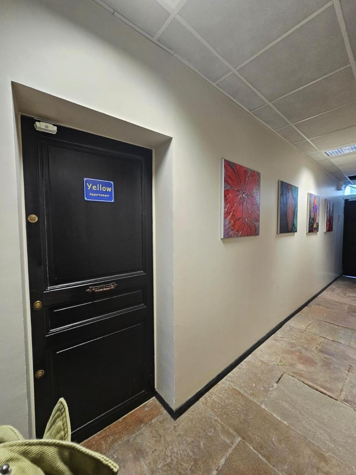 Rez De Chaussee Appartement A Tournus - Yellow Zewnętrze zdjęcie